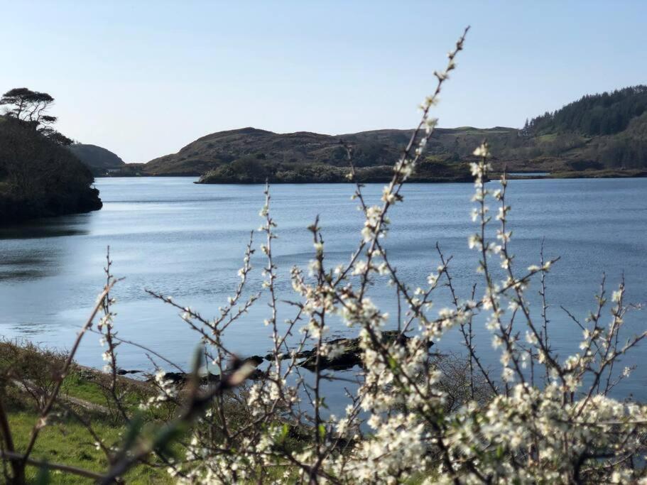 Lough Hyne Cottage Skibbereen Kültér fotó